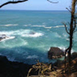 Meet your Posher, Michele